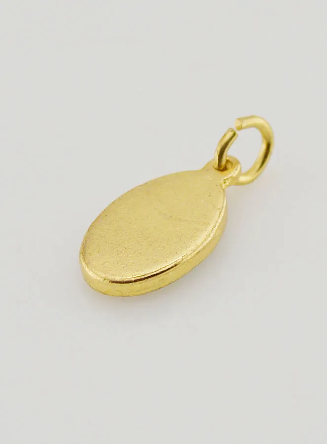 Hanger Onze Lieve Vrouw van La Salette Goudkleurig - 14 mm (pic 4)