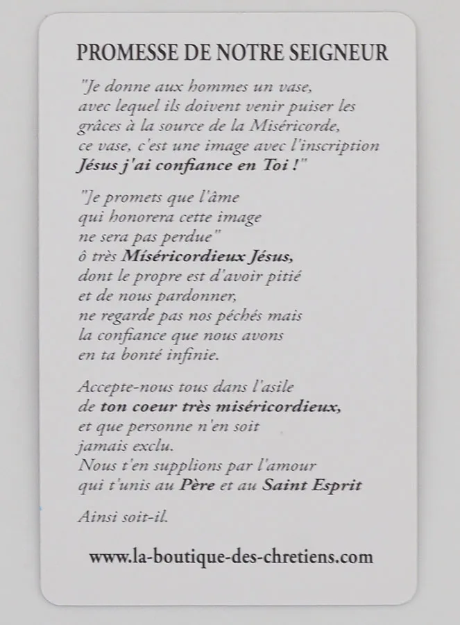 Set van 10 Gebedskaarten Barmhartige Jezus Christus (in het Frans) (pic 4)