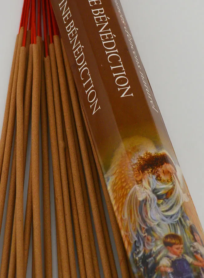 Wierook van Goddelijke Zegen - Aromatika 20 Wierookstokjes (pic 4)