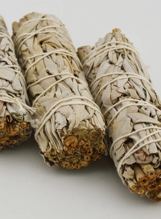 Witte Salie Smudge Stick - 11 cm (pic 4)