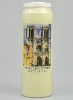 Noveenkaars Notre Dame de Paris (pic 1)