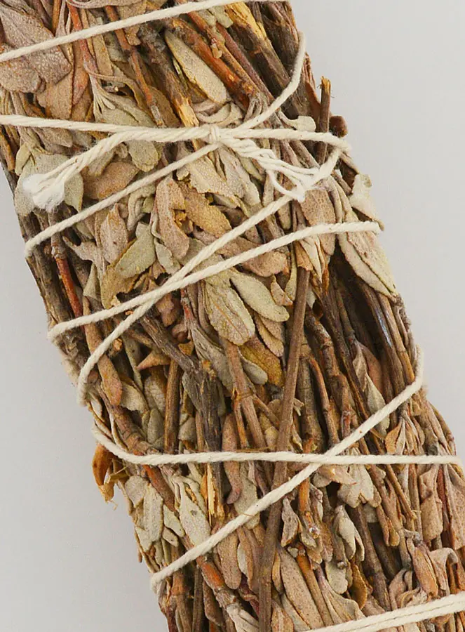 Smudge Stick van Californische Konings Salie - 30g (pic 3)