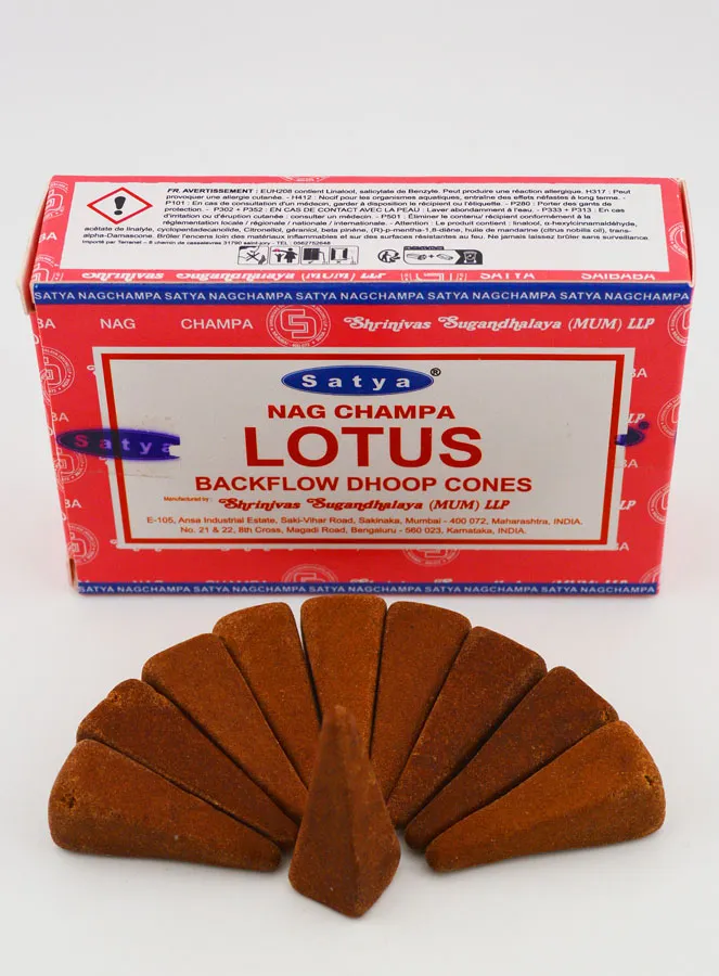 Wierook Lotus Satya - Terugstroom Kegels (pic 2)
