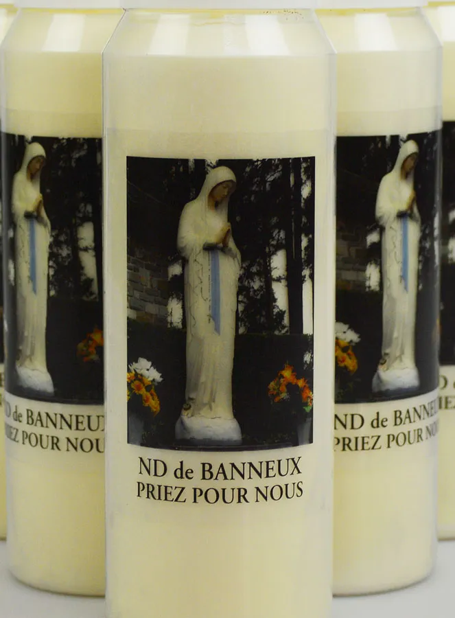 6 Noveenkaarsen Onze-Lieve-Vrouw van Banneux (pic 3)