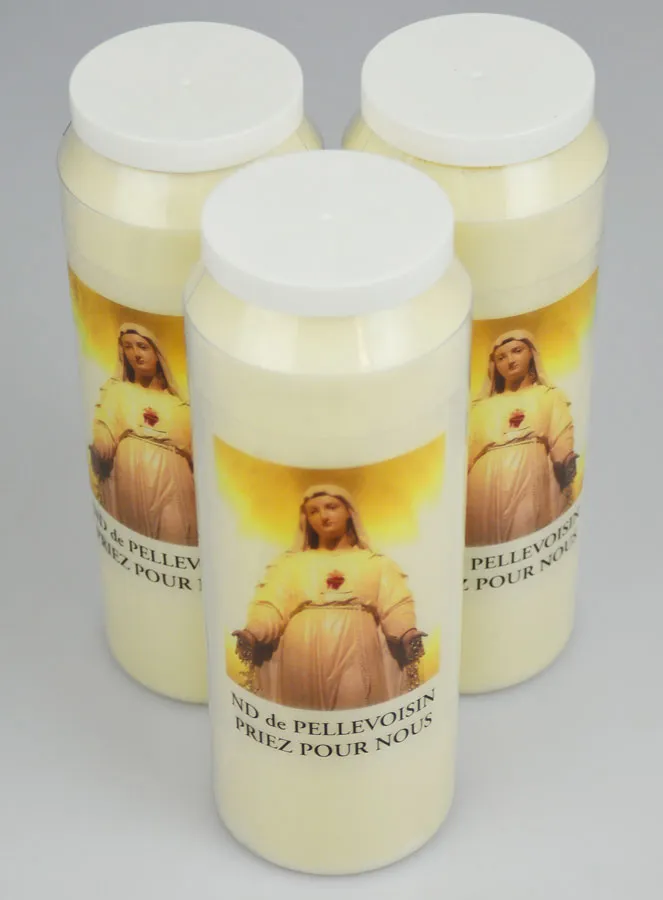 3 Noveenkaarsen tot Onze Lieve Vrouw van Pellevoisin (pic 2)