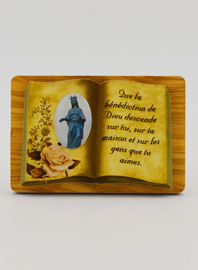 Boek Ezel 6cm - Zwarte Madonna (pic 1)