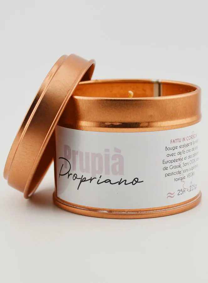 Handgemaakte Geurkaars - Propriano (pic 1)