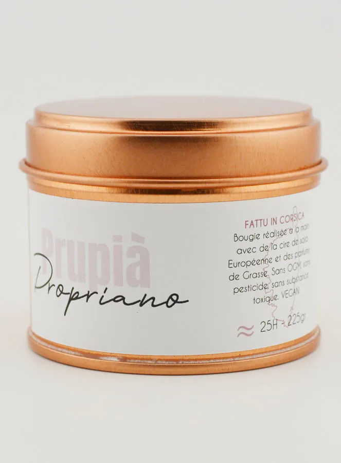 Handgemaakte Geurkaars - Propriano (pic 3)