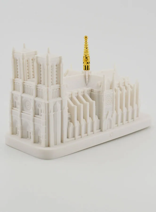 Beeld Kathedraal Notre Dame van Parijs (pic 3)