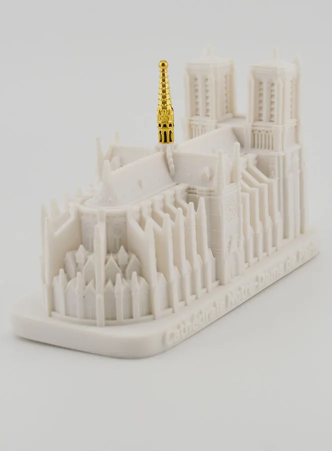 Beeld Kathedraal Notre Dame van Parijs (pic 4)