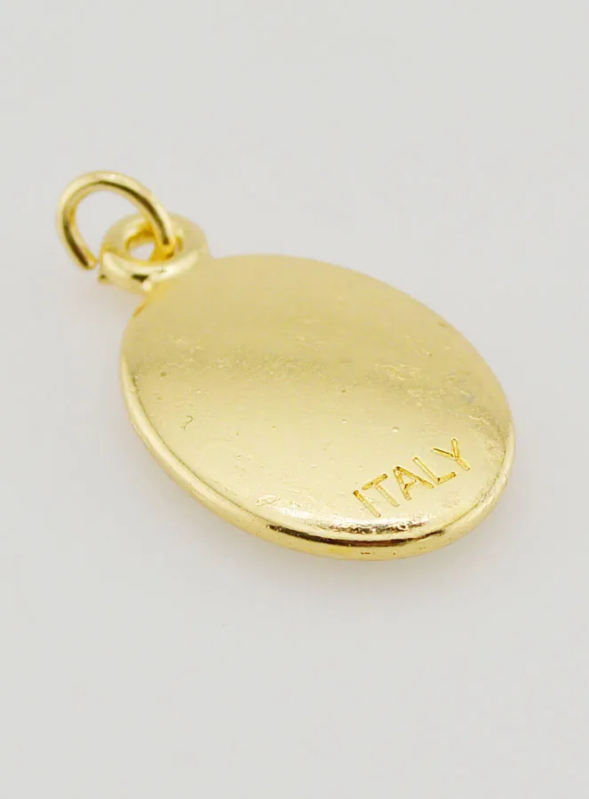 Goudkleurige Hanger Paus Franciscus - 25mm (pic 4)