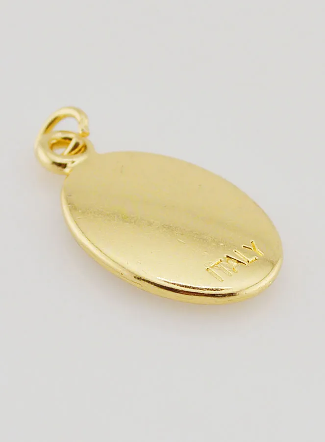 Goudkleurige Hanger Paus Leo XIV - 25mm (pic 4)