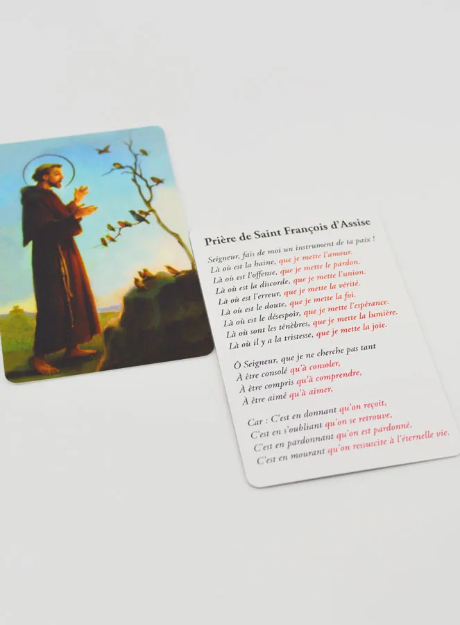 Gebedskaart Heilige Franciscus (pic 3)