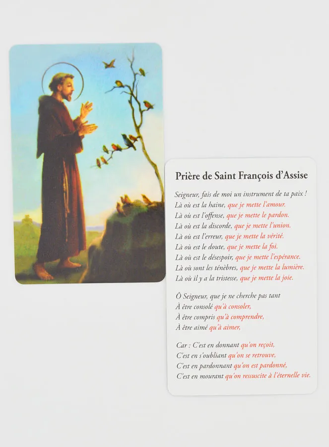 Gebedskaart Heilige Franciscus (pic 4)