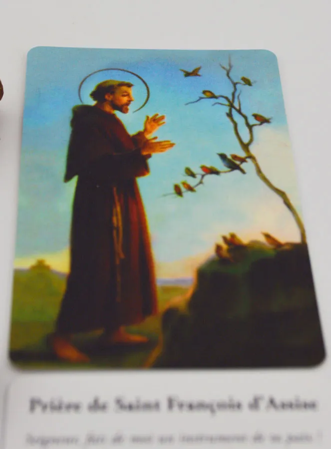 Wierook  Kegels Heilige Franciscus (pic 4)