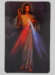 Set van 10 Gebedskaarten Barmhartige Jezus Christus (in het Frans)