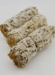 Witte Salie Smudge Stick - 11 cm