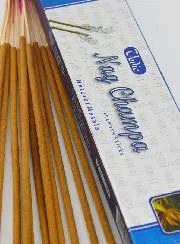 Wierook India Vedic 15g- Nag Champa