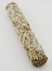Grote Smudge Stick van Californische Witte Salie - 90g