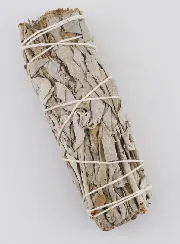 Smudge Stick Witte Salie - 11 cm