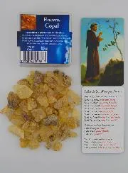 Religieuze Wierook Copal + Gebed St Franciscus