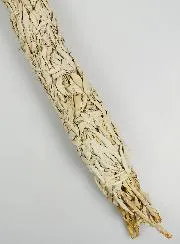 Grote Smudge Stick Witte Salie - 50cm