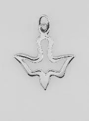 Medaille van de Heilige Geest van Roestvrij Staal - 17mm