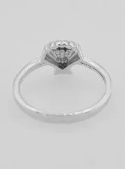 Zilveren Ring Sint Jakobs Schelp - Maat 52