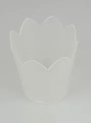 Vlambeschermer voor Processiekaarsen