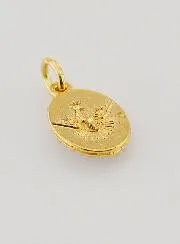 Medaillon met Gedraaide Rand 15mm - Paus Franciscus