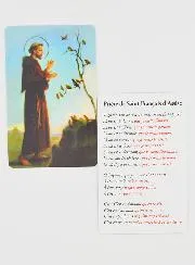 Gebedskaart Heilige Franciscus