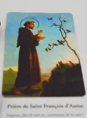Wierook  Kegels Heilige Franciscus